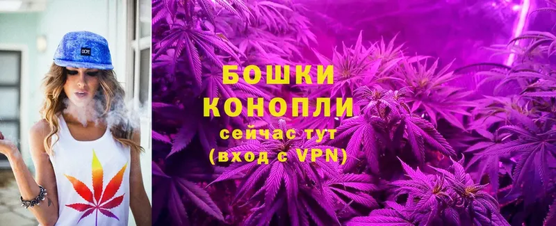 Марихуана THC 21%  Куртамыш 